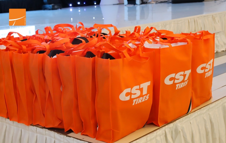 CST: COMMITMENT TO SUSTAINABLE DEVELOPMENT IN VIETNAM